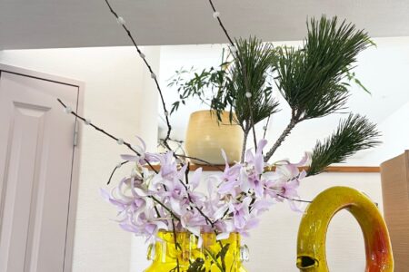 今年もよろしくお願いします☆